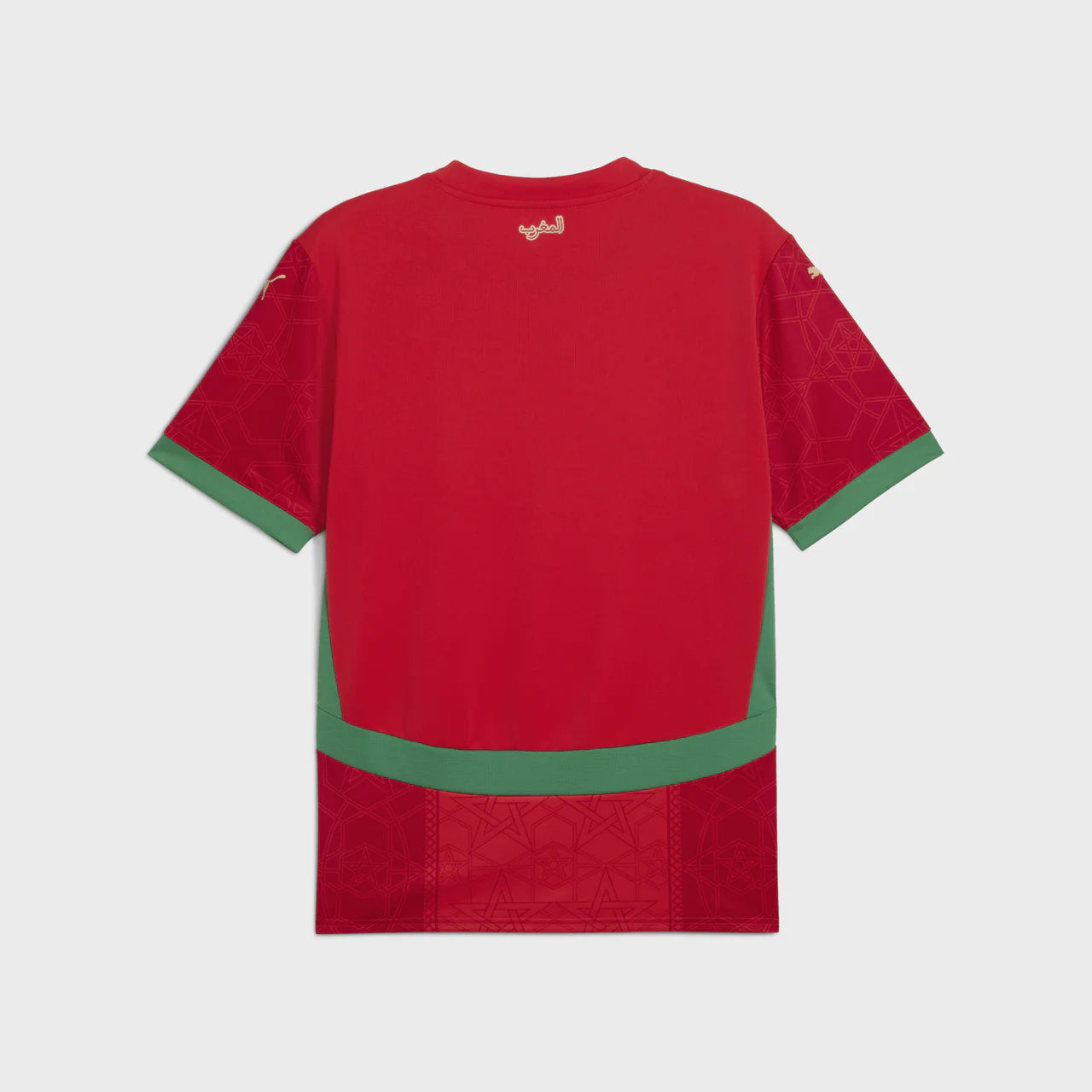 Maillot Maroc Domicile  2025/2026 version pro